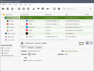 Keepassxc-example.png